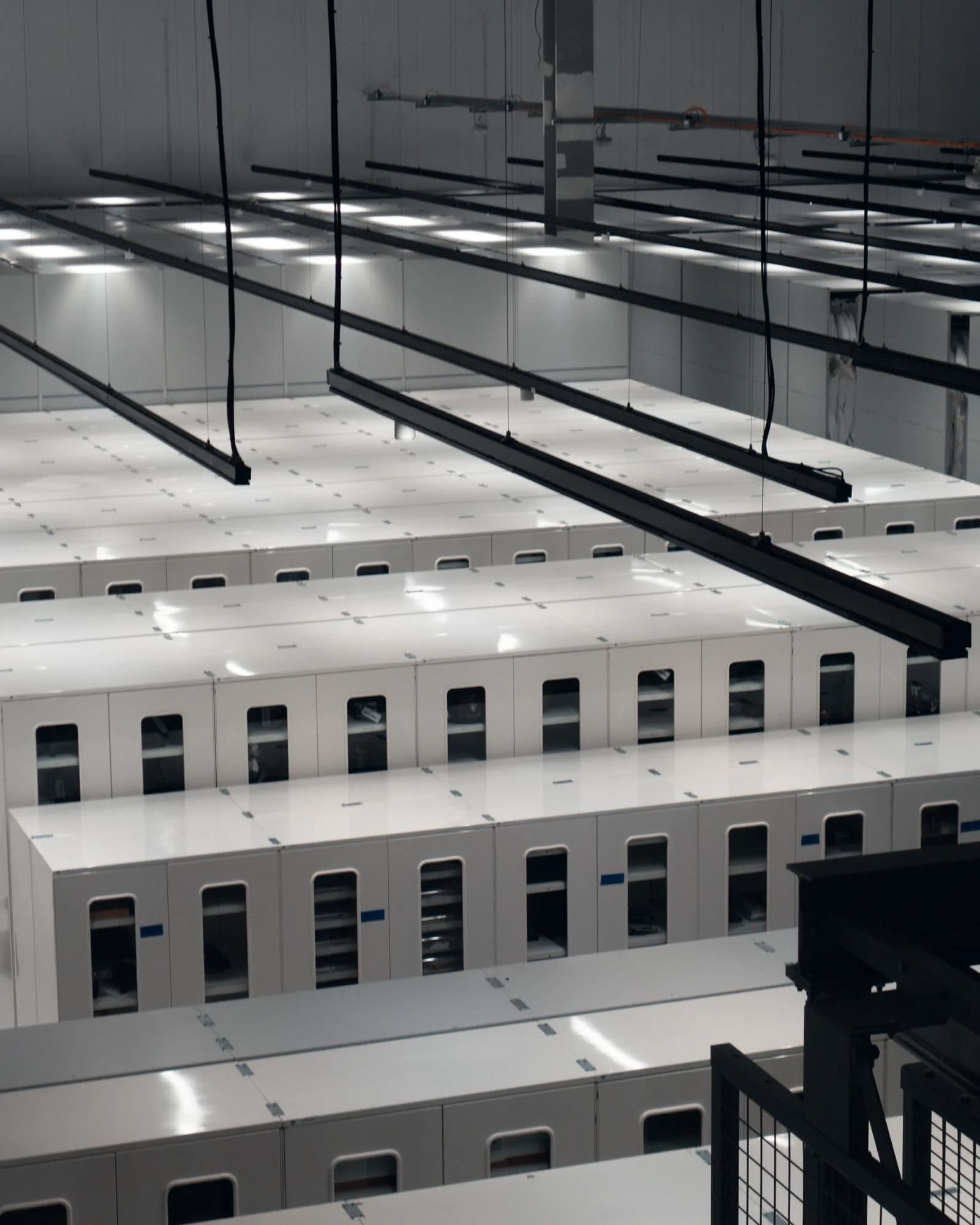 Web Hosting infrastructure at RyzenHosting